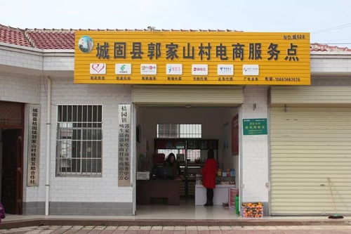 電子商務(wù)技術(shù)助力城固扶貧 2120戶貧困戶搭上電商新列車